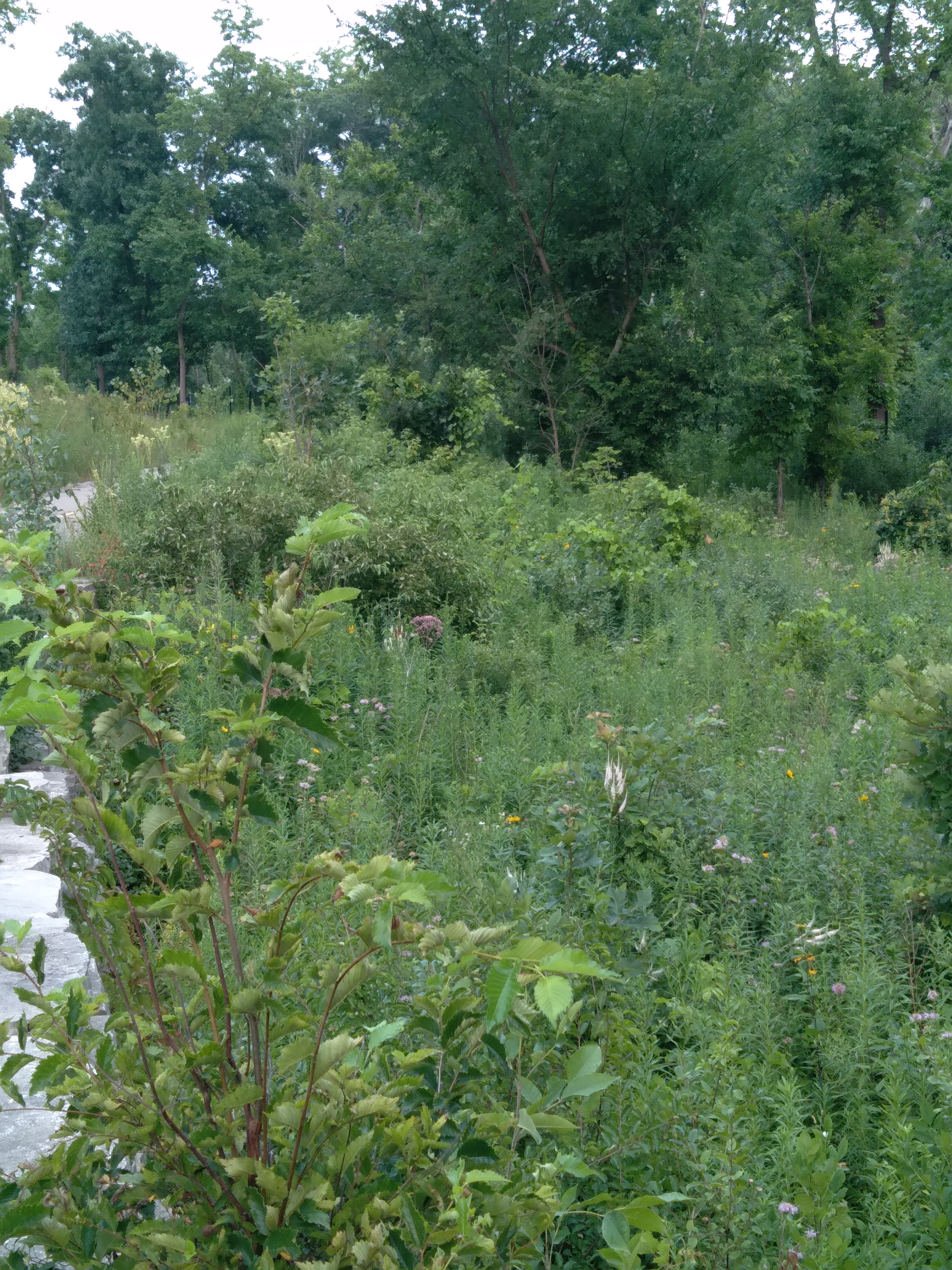 20260726_193539.jpg