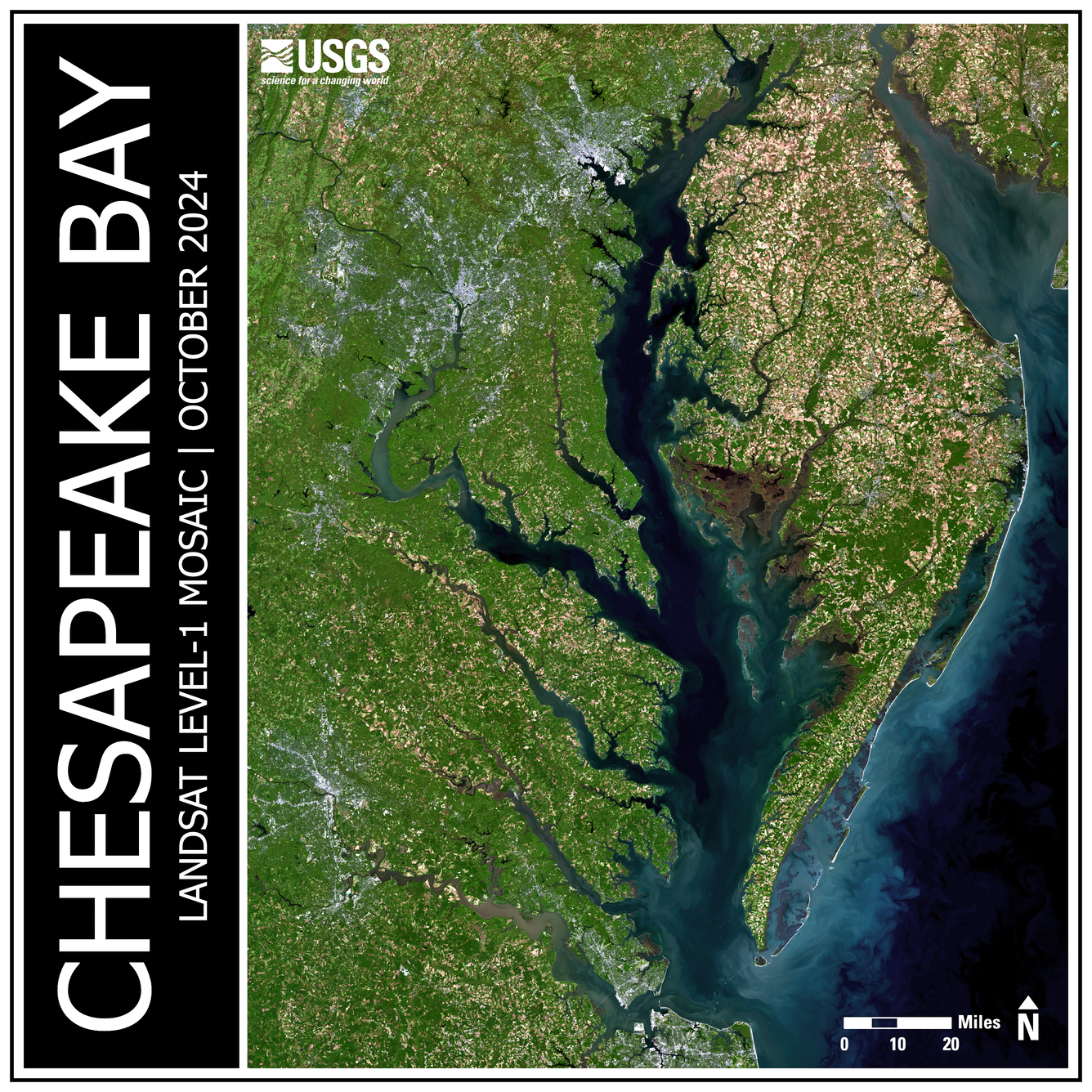 Chesapeake Bay