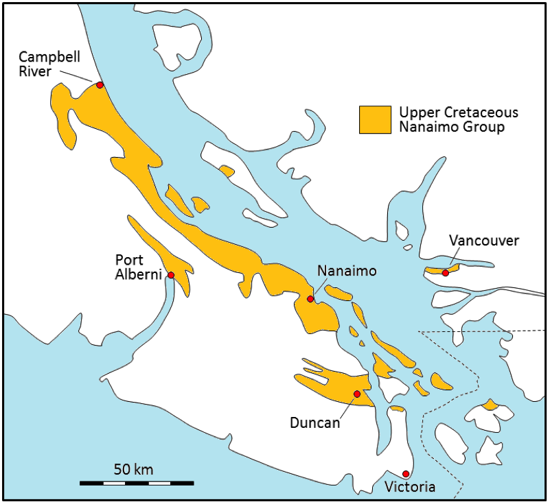 Upper-Cretaceous-Nanaimo-Group-rocks.png