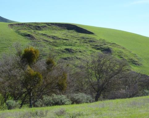 Una suave colina herbosa. La parte central del cerro regaló y se desplazó hacia abajo.