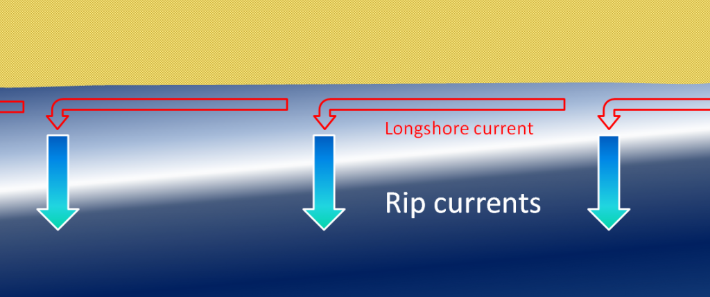 Rip currents take the water from longshore currents away from the shoreline