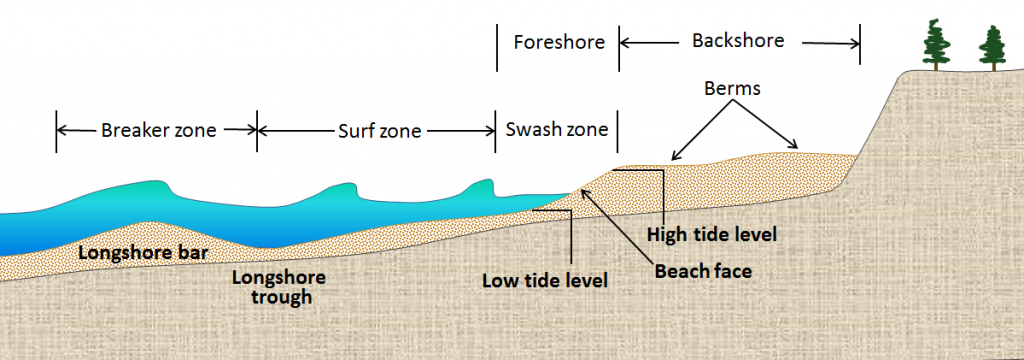components-of-a-sandy-marine-beach.png