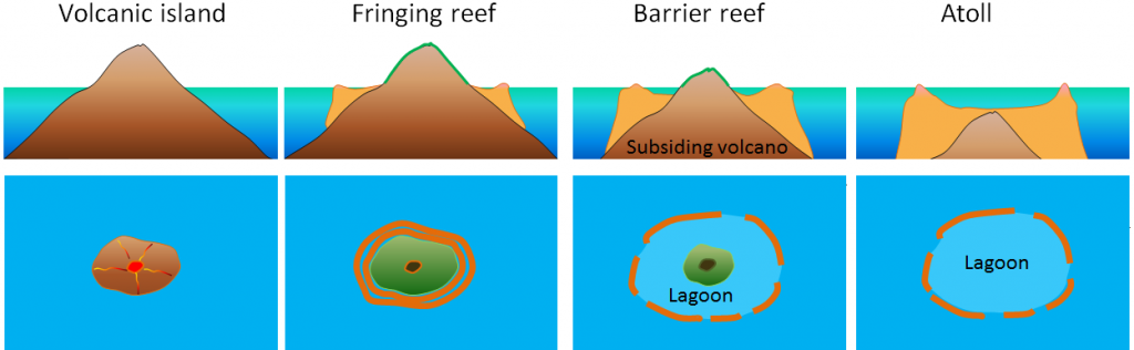 fringing-reef-a-barrier-reef-and-an-atoll.png