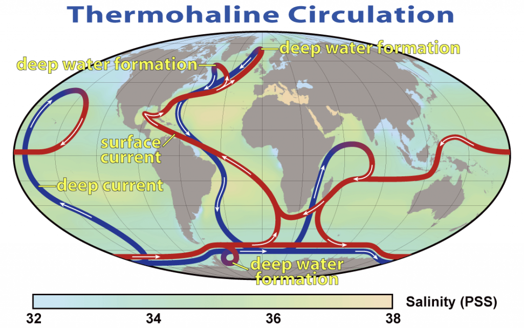 thermohaline-circulation-system.png