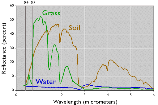 Gráfico que muestra patrones de respuesta espectral de pasto, suelo y agua