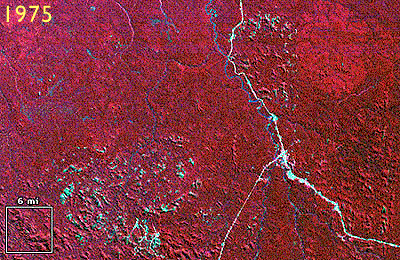 Tres escenas producidas por un escáner multiespectral Landsat de 1975, 1986 y 1992 que muestran la deforestación amazónica