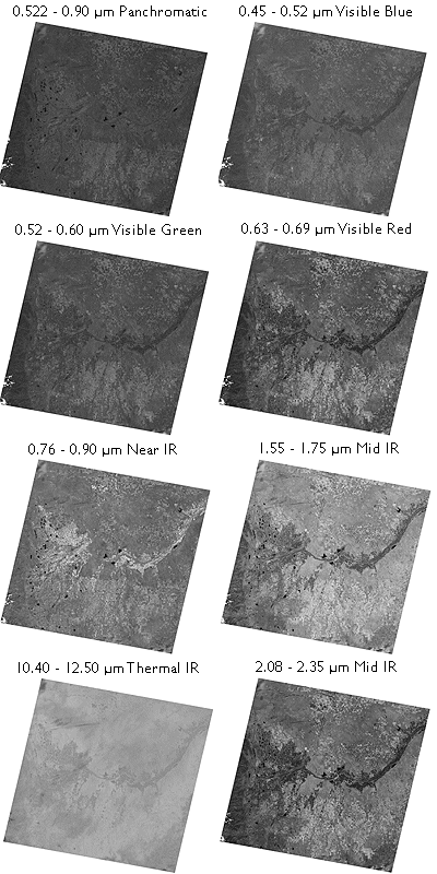8 зображень, створених з 8 різних діапазонів даних Landsat 7 ETM