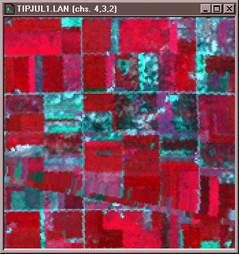 Landsat TM imagen de campos agrícolas