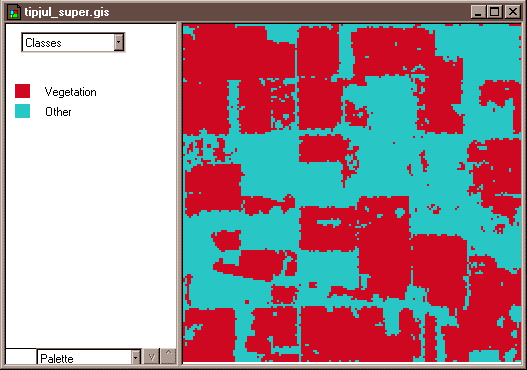 Скріншот із зображенням двокласної карти земельного покриву (контрольована класифікація)