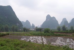 Steep rock towers left as remnants of limestone layers dissolved away by acidic rain and groundwater.