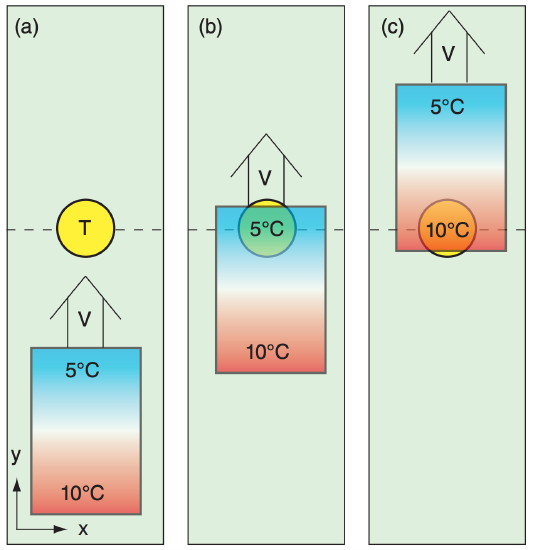 Screen Shot 2020-02-05 at 12.33.14 PM.png