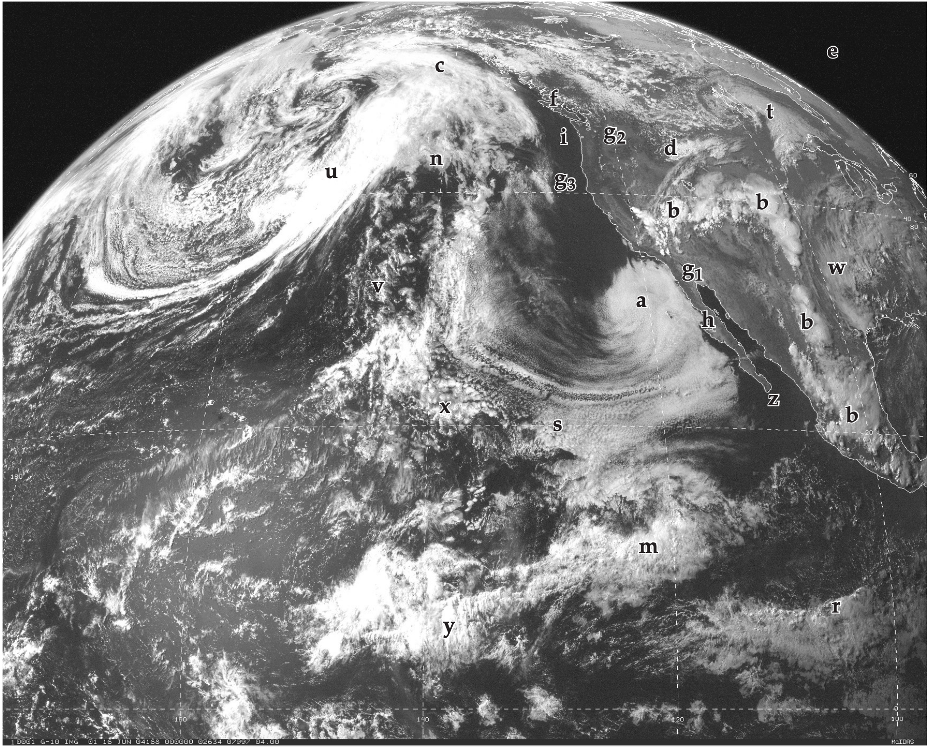 Screen Shot 2020-02-18 at 4.49.27 PM.png