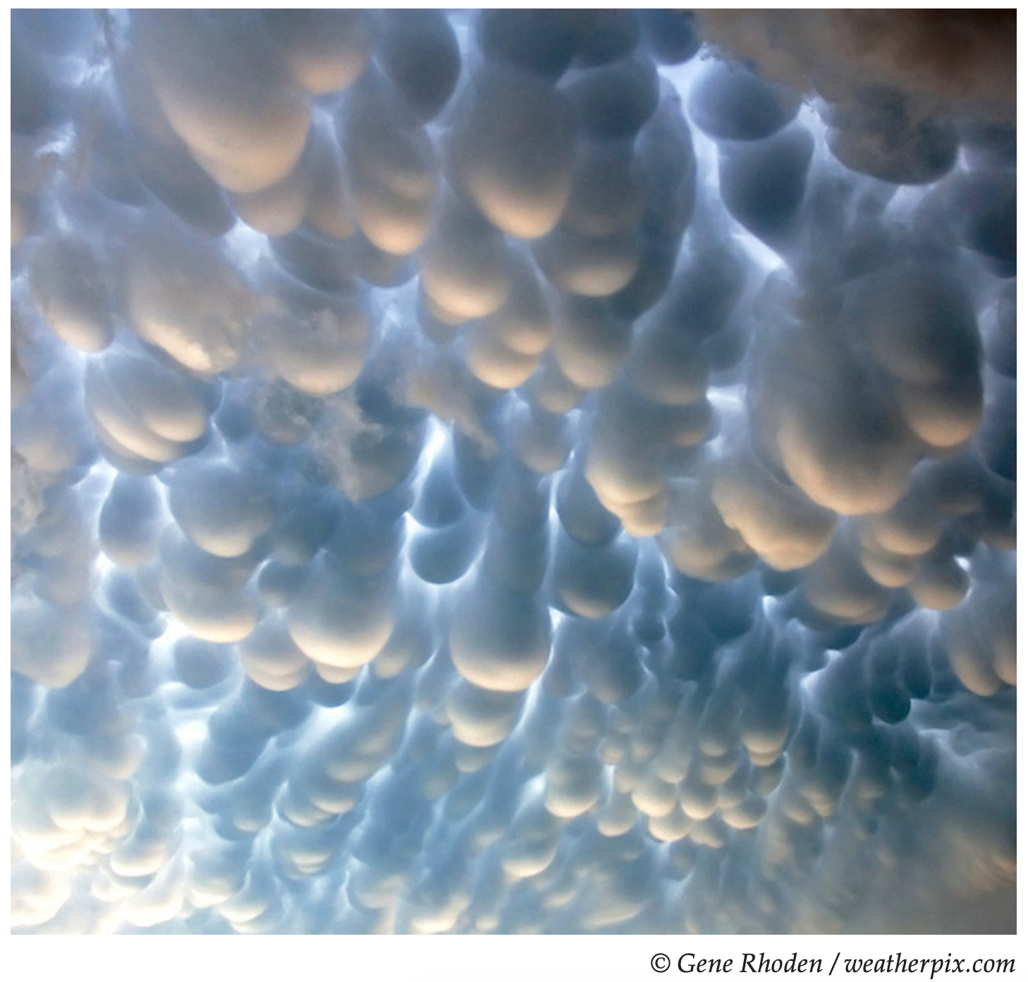 Screen Shot 2020-03-19 at 6.28.06 PM.png