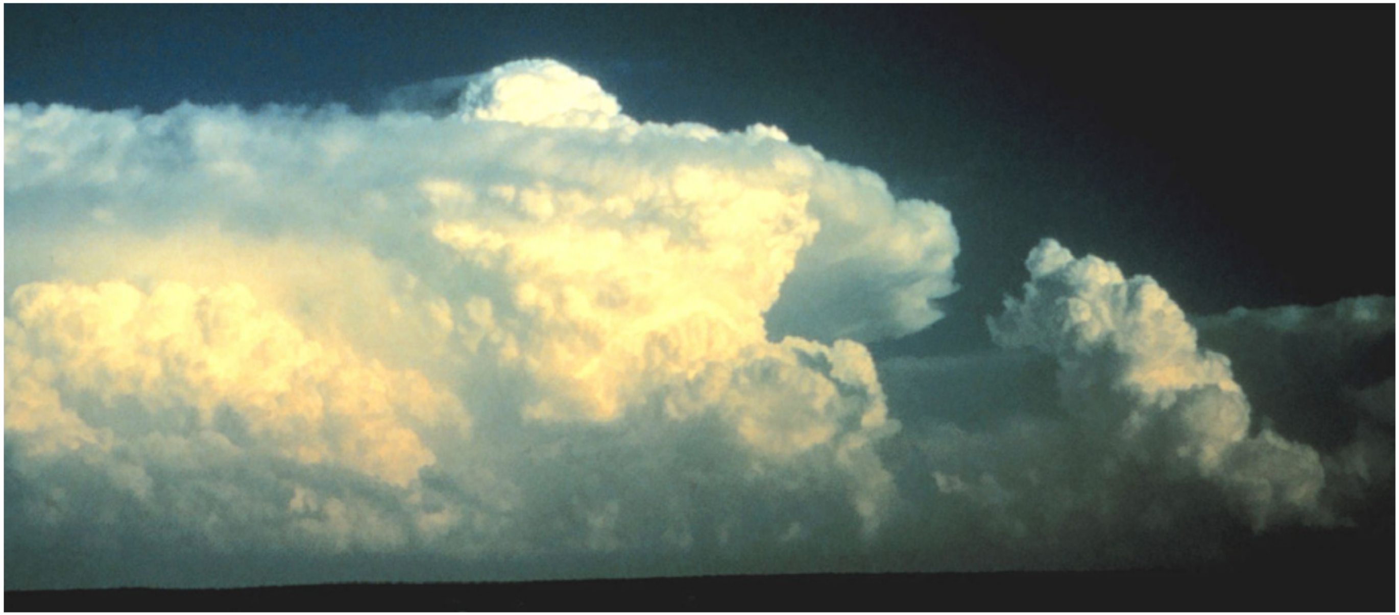 Screen Shot 2020-03-21 at 8.45.16 PM.png