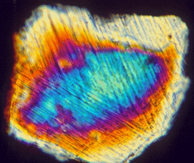 A small grain of sand showing a prismatic inside with lines across it.