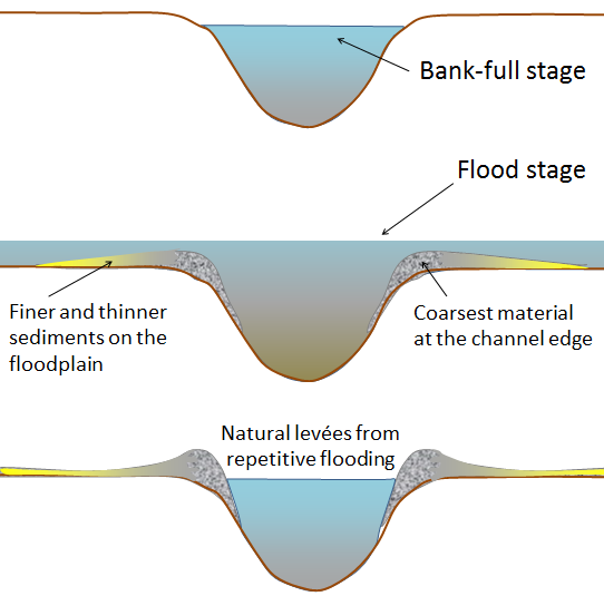 Profile of stream channel at bankfull stage, flood stage, and deposition of natural levee (Earle 2015).