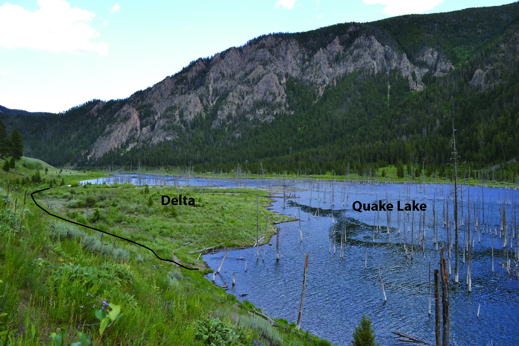 Delta in Quake Lake Montana. Deposition of this delta began in 1959, when the Madison river was dammed by the landslide caused by the 7.5 magnitude earthquake.