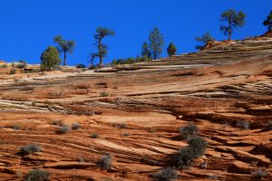 Image of cross bedding in ancient sand dunes at Zion National Park, Utah.