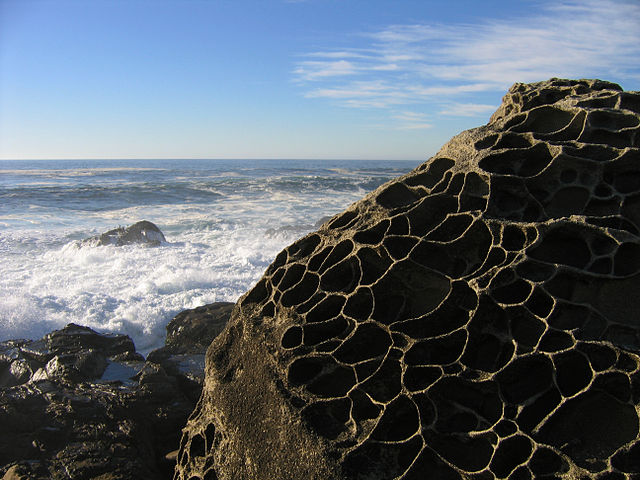 The rock has many holes from the salt erosion.