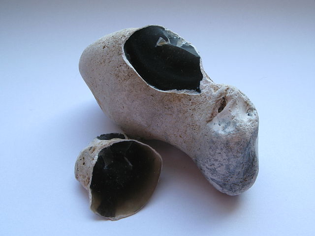 The flint is dark brown/grey, and the weathered crust is light tan. The overall shape is blobby.
