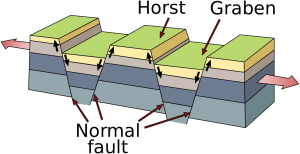 While the area extends, individual grabens drop down relative to the horsts.