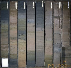 Image of sediment core showing clear layering and vertical changes in color and composition.