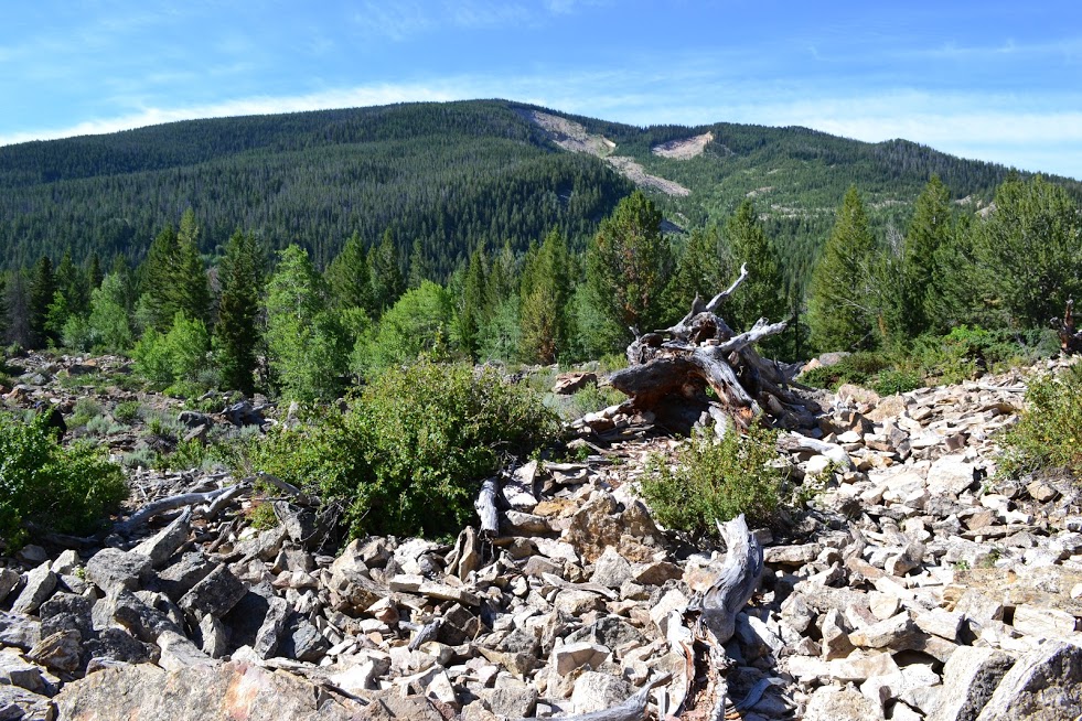 Scar of the Gros Ventre landslide in background with landslide deposits in the foreground.