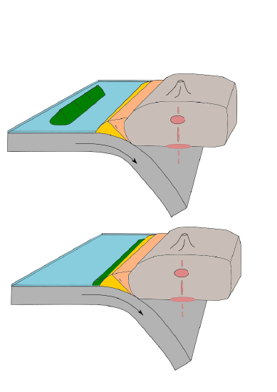 This drawing depicts a microcontinent riding with a subducting plate, and not being subductable, becoming accreted to the melange.