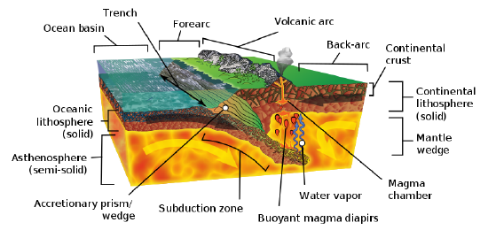 Many features are labeled on the diagram, but the main idea is the ocean plate descending below the continental