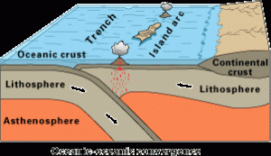 The ocean plate subducts beneath a different ocean plate.