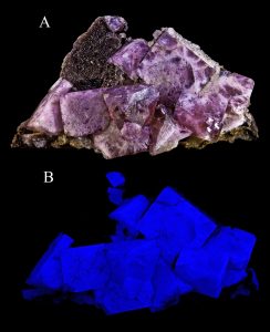 Purplish crystals of fluorite. The second image shows the deep blue fluorescence of fluorite under ultraviolet light.