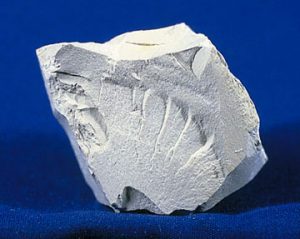 Specimen of kaolin, a clay oineral, showing dull or earthy luster