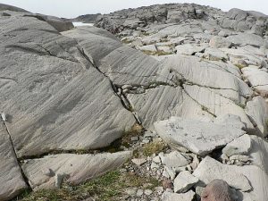 Roca pulida alisada con ranuras erosionadas en ellas. Todas las arboledas están alineadas en la misma dirección.