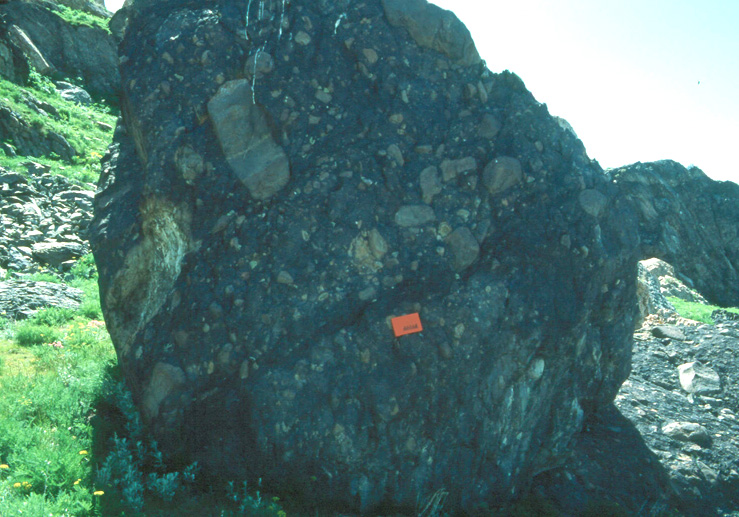 Very large boulder, dark in color, with smaller boulders "floating" inside of it.