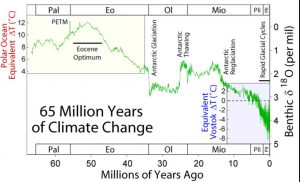 Atomospheric CO2 has declined during the Cenozoic from a maximum in the Paleocene-Eocene up to the Industrial Revolution.