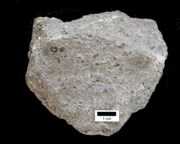 Grey rock with fine crystals and black phenocrysts.