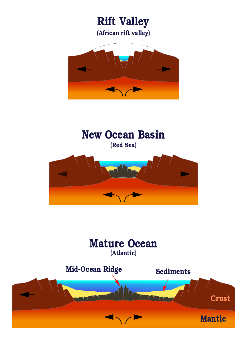 Ocean-birth.svg_.png