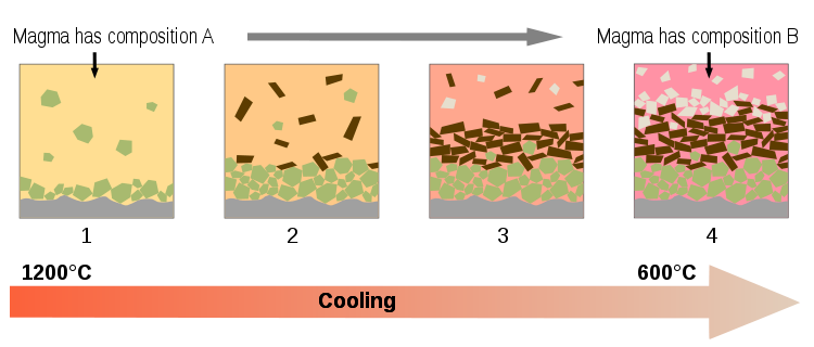 Complicated diagram showing minerals settling out in the magma chamber and thus making the remaining liquid magma (the melt) more silica-rich in composition.