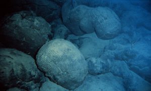Almohada de basalto en el fondo del mar cerca de Hawaii.