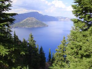The island is forested, as are the flanks