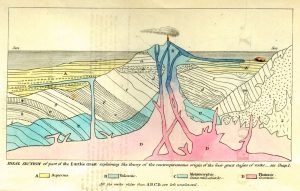 It shows a rudimentary cross section