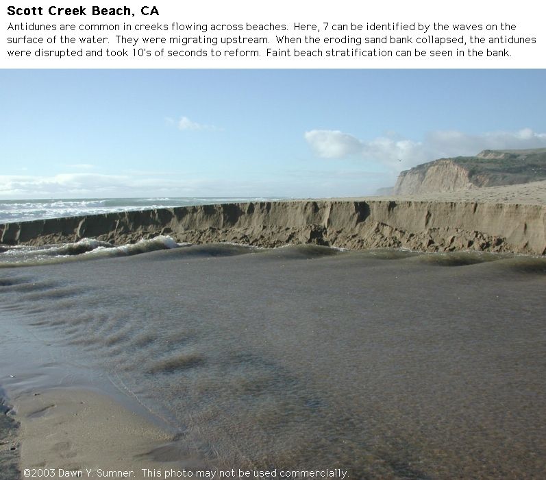 Photograph of antidunes in a creek flowing across a beach in a channel. The surface of the water has waves in it that are associated with antidunes on the sediment surface.