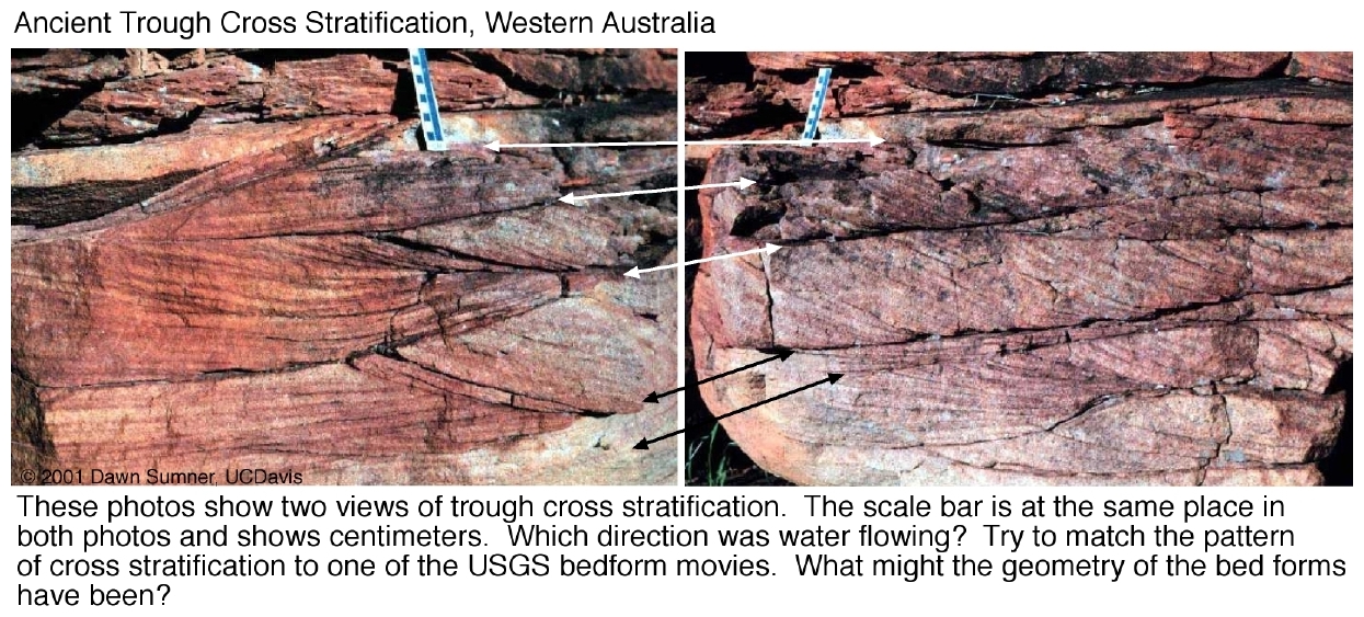 Trough cross stratification from Western Australia (photo credit: Dawn Sumner)
