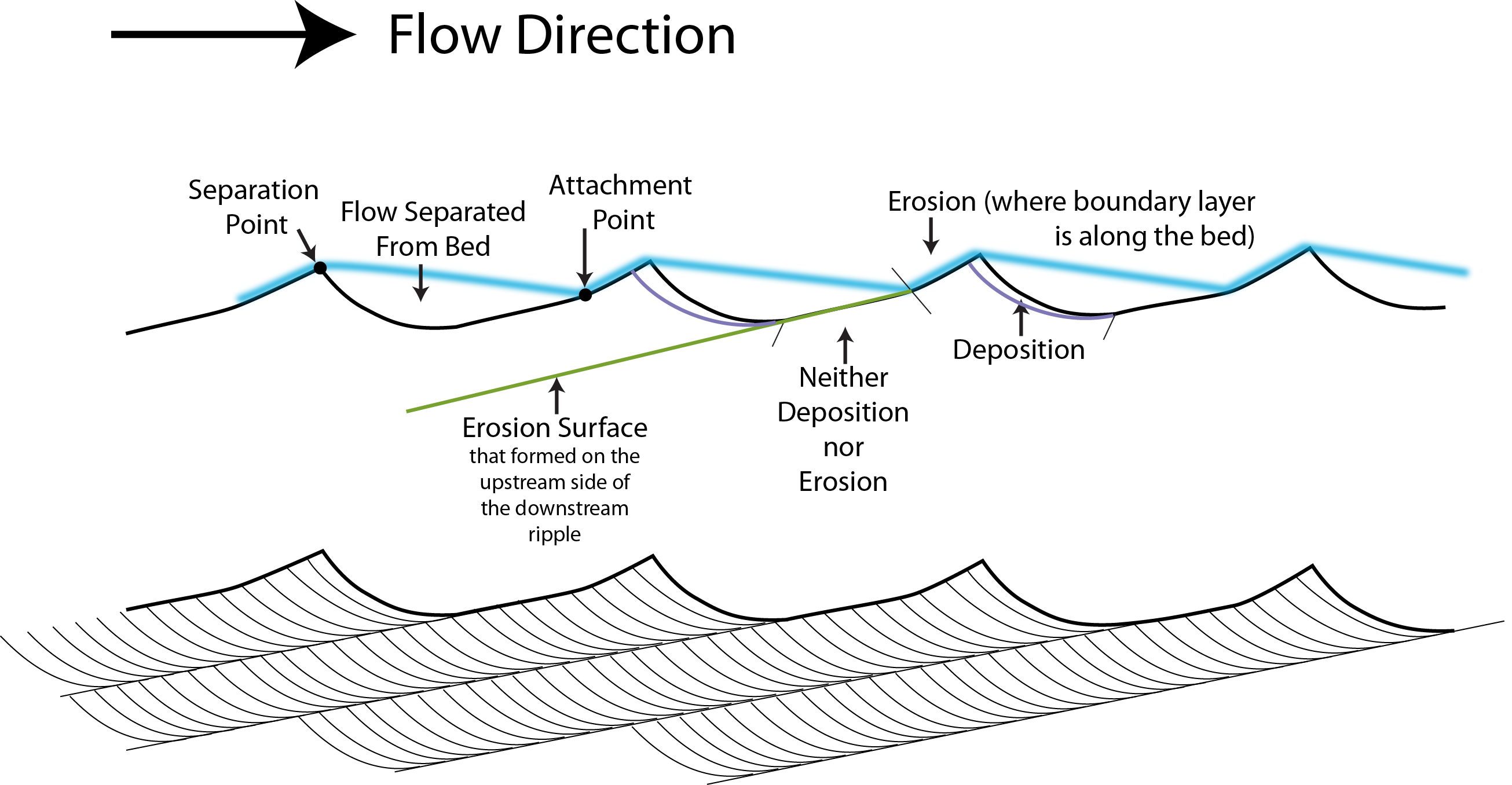 Sketch of a ripple and the geometry of the flow over it, including the separation and attachment points, the zone of flow separation, where erosion and deposition occur, and the resulting cross lamination.