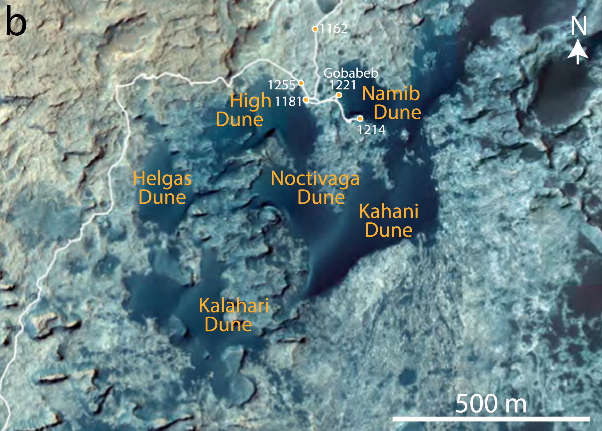 Annotated satellite image showing the area of the Phase 1 investigations