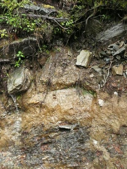 Chemically weathered schist, Makorora, New Zealand. Photo credit: Dawn Sumner