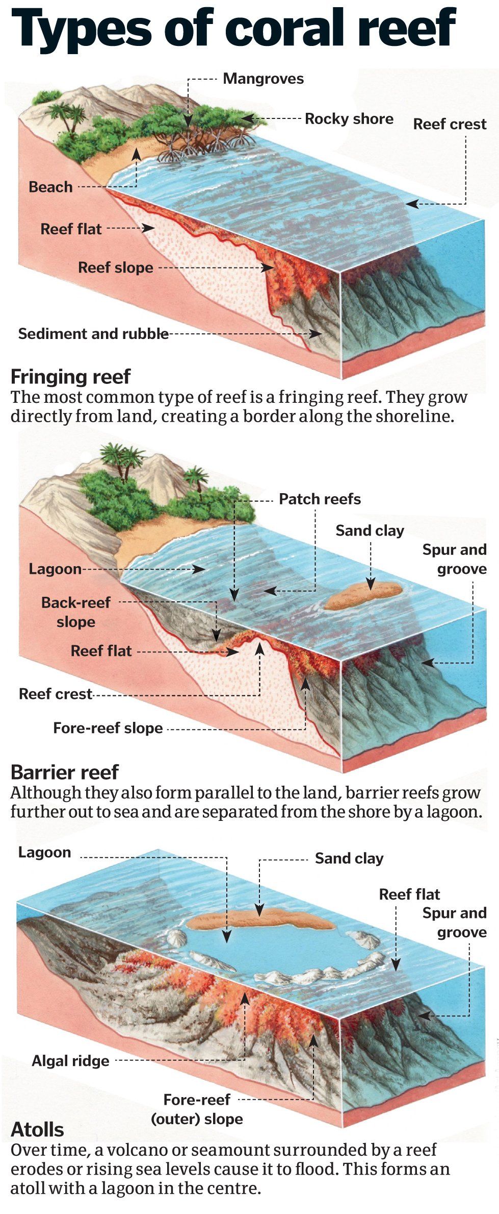 types of reefs.jpg