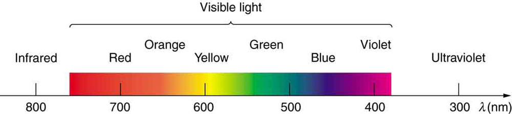 Figure 2.3.4. The visible light spectrum, showing wavelength ranges for colors in nanometers.
