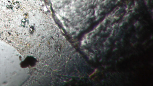 Figure 2.5.3A. Accessory plate partially obscuring the view of a thin section.