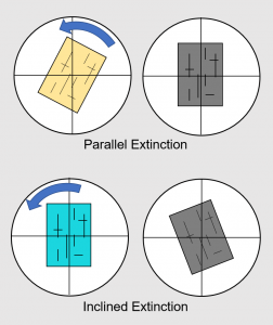 Figure 2.7.5. A comparison of parallel and inclined extinction.